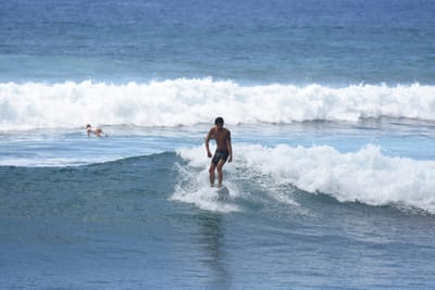 DSC_0222.JPG