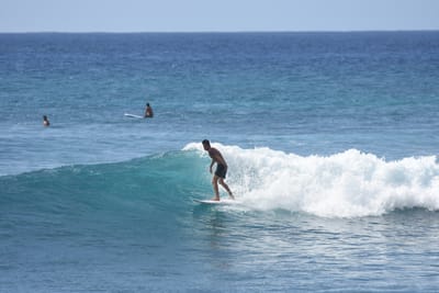 DSC_0223.JPG