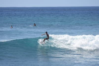DSC_0224.JPG