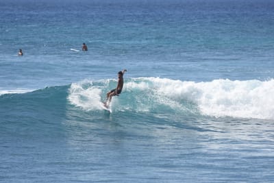 DSC_0225.JPG