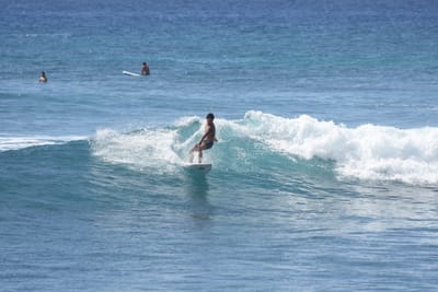 DSC_0226.JPG
