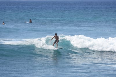 DSC_0228.JPG