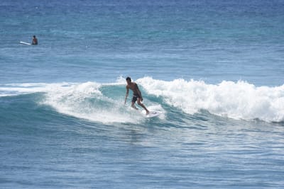 DSC_0229.JPG