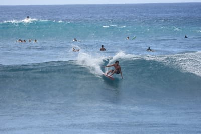 DSC_0233.JPG