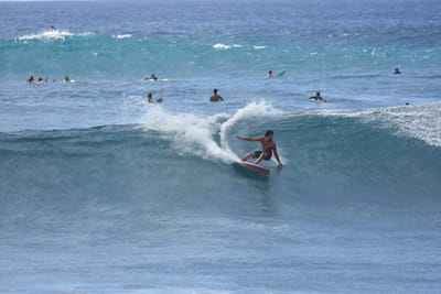 DSC_0234.JPG