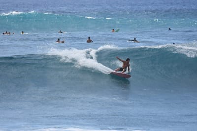 DSC_0235.JPG