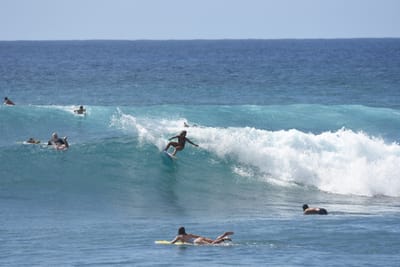 DSC_0236.JPG