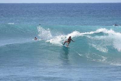 DSC_0239.JPG