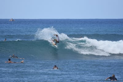 DSC_9777.JPG