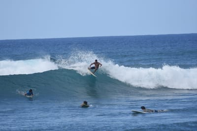 DSC_9781.JPG