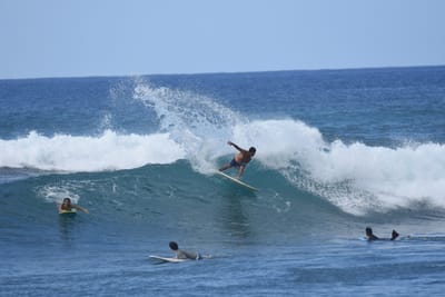 DSC_9783.JPG