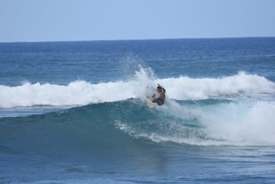 DSC_9784.JPG