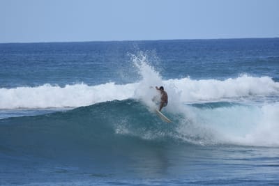 DSC_9785.JPG