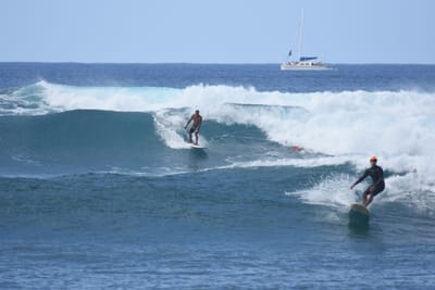 DSC_9788.JPG