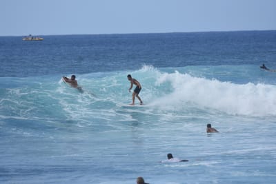 DSC_9792.JPG