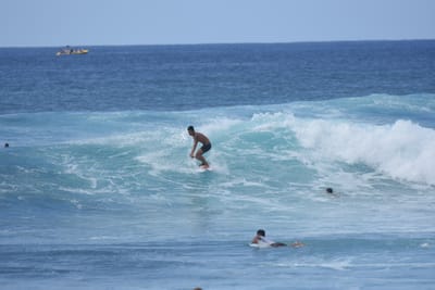 DSC_9795.JPG