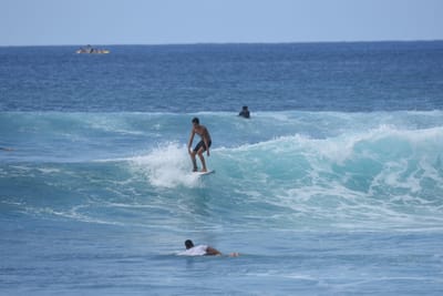 DSC_9800.JPG