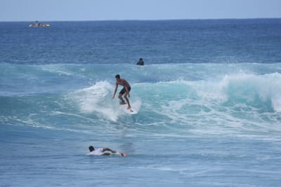 DSC_9801.JPG