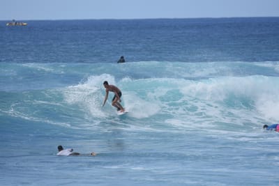 DSC_9802.JPG