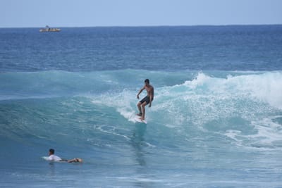 DSC_9806.JPG