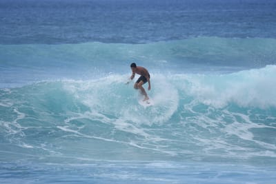 DSC_9817.JPG