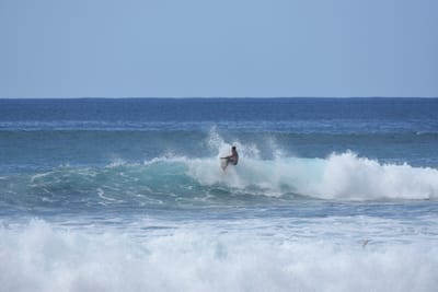 DSC_9828.JPG