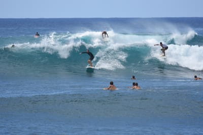 DSC_9829.JPG