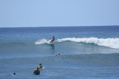 DSC_9834.JPG