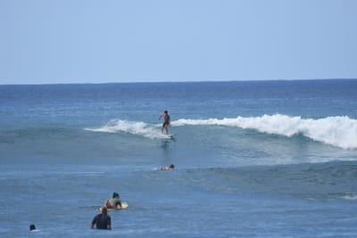 DSC_9835.JPG