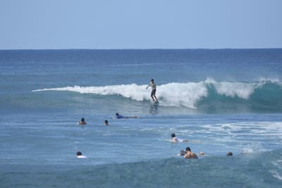 DSC_9837.JPG