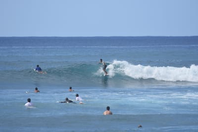 DSC_9838.JPG