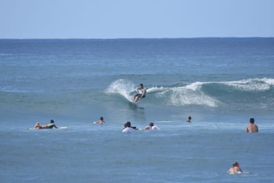 DSC_9843.JPG