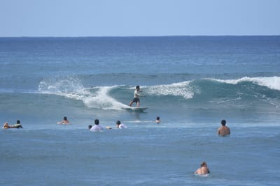 DSC_9846.JPG