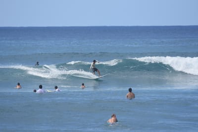 DSC_9847.JPG