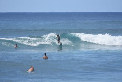DSC_9848.JPG