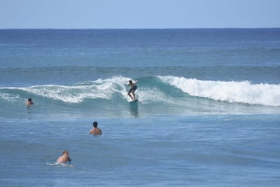 DSC_9849.JPG