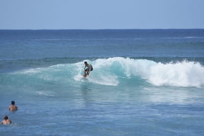 DSC_9850.JPG