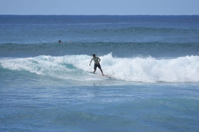 DSC_9851.JPG