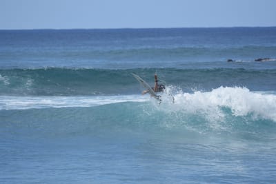 DSC_9852.JPG