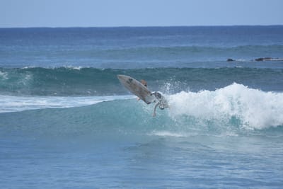DSC_9853.JPG