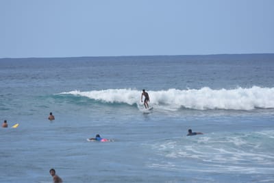 DSC_9860.JPG
