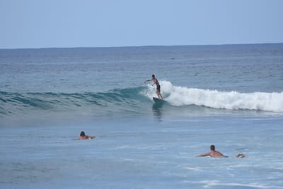 DSC_9861.JPG