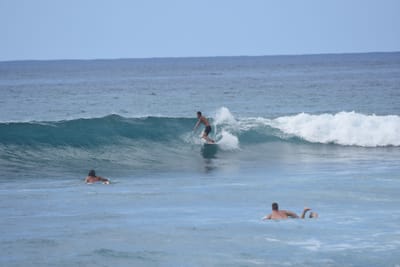 DSC_9863.JPG