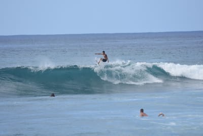 DSC_9865.JPG