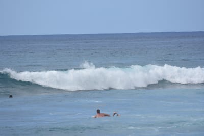 DSC_9867.JPG