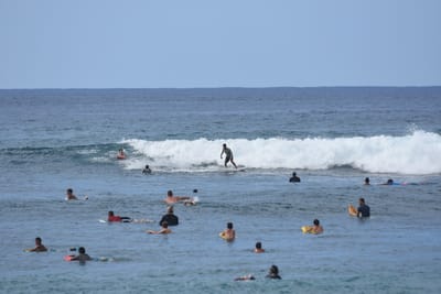 DSC_9868.JPG