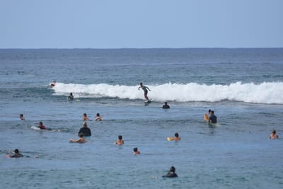 DSC_9869.JPG