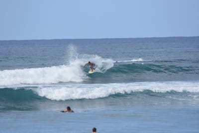 DSC_9870.JPG