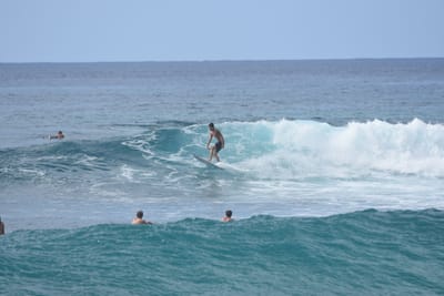 DSC_9871.JPG