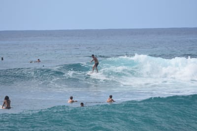 DSC_9872.JPG